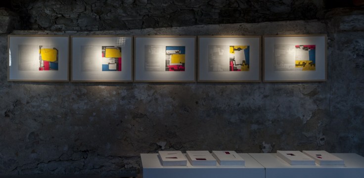 Soluzione-per-il-rosa-exhibit-view